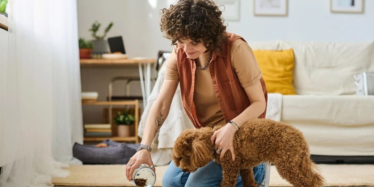 I cani che cambiano le regole: le 5 razze ipoallergeniche perfette per la tua casa pulita