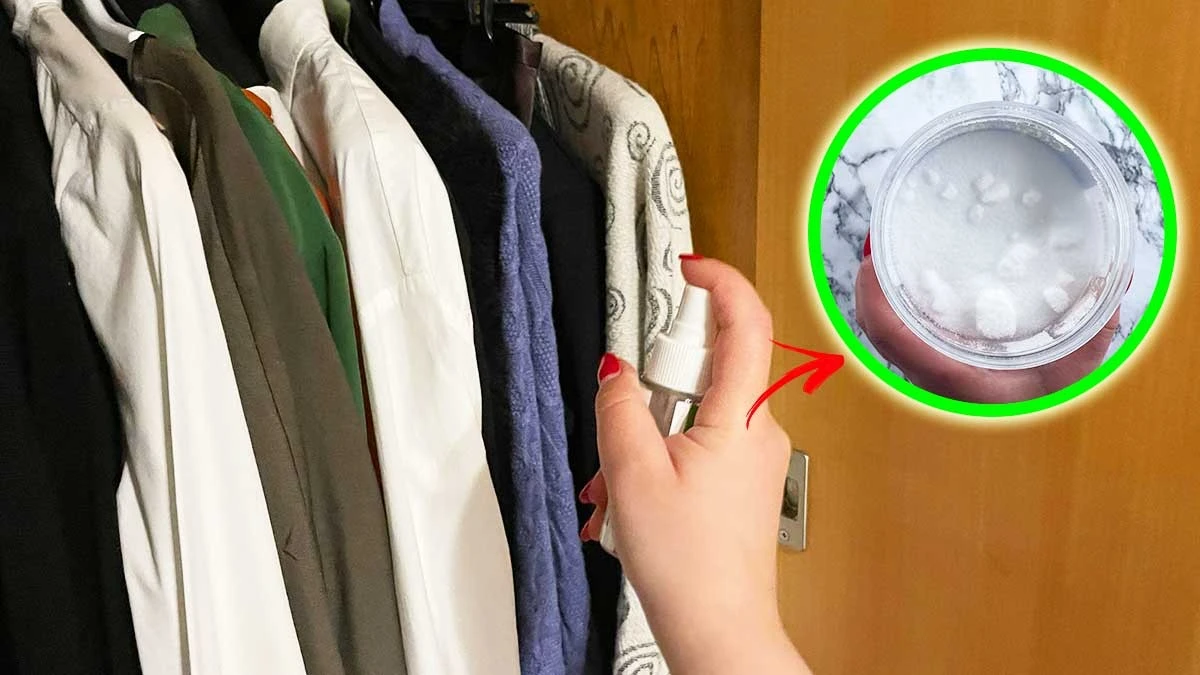 Il tuo armadio puzza? Questo trucco antico la elimina subito - image 1
