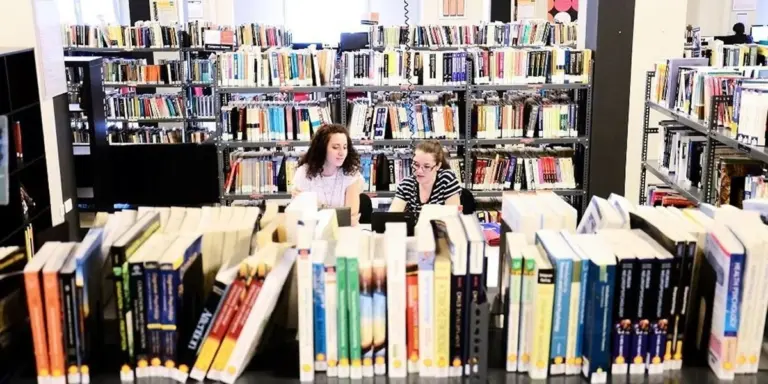 45 borse di studio per studenti kosovari: studia a Salonicco con il tuo programma dei sogni all'University of York Europe Campus