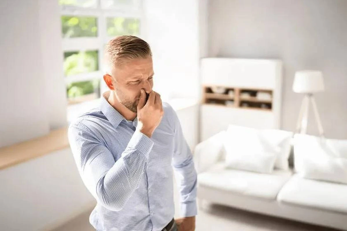 5 abitudini quotidiane che creano cattivi odori in casa tua - image 1