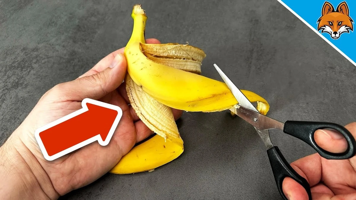 Cinque modi per usare gli scarti di banana per rivoluzionare la tua casa - image 1