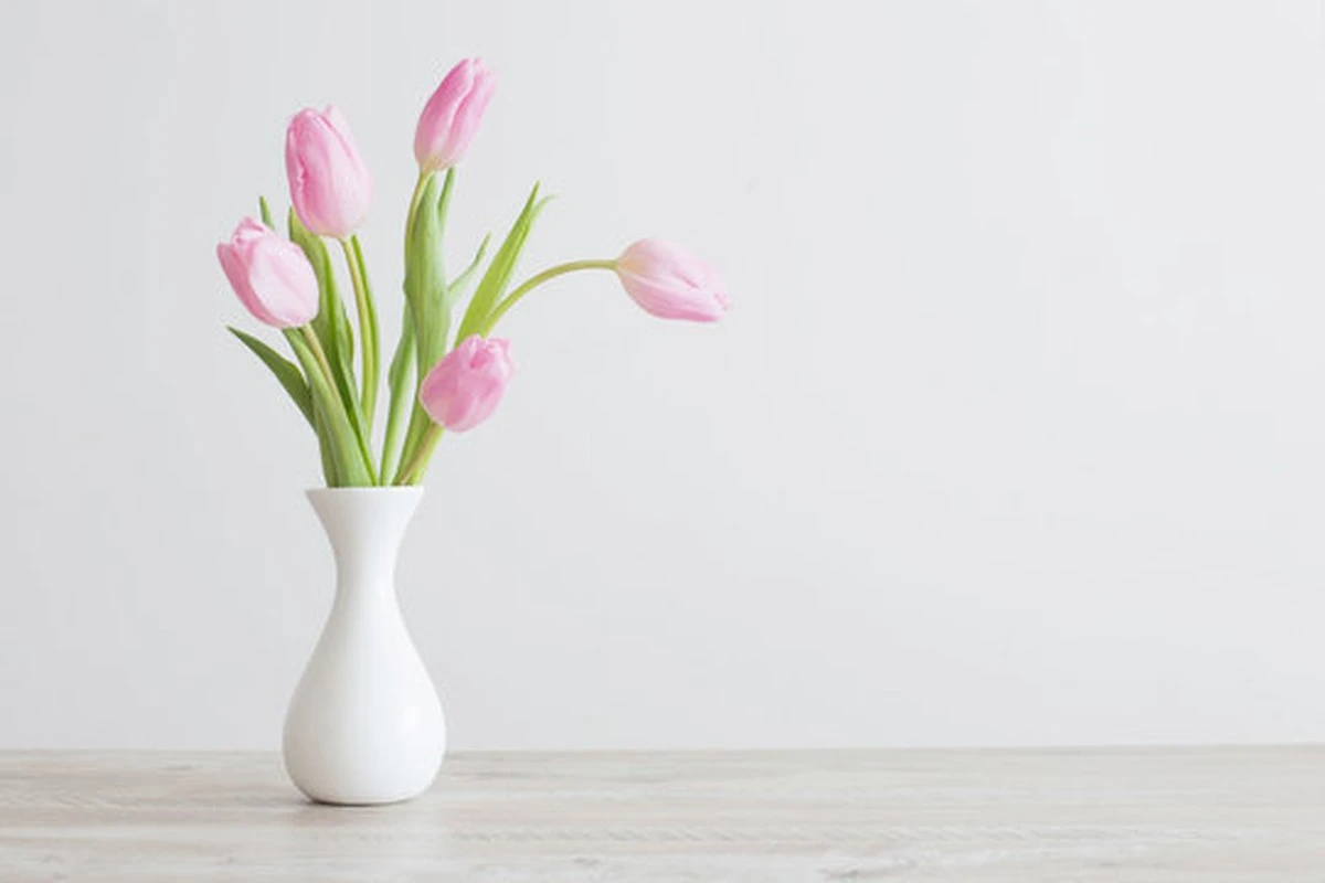 Cinque monete in vaso: il trucco segreto per tulipani che durano un mese - image 1
