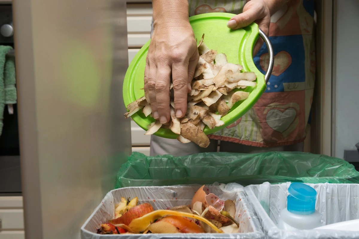 Dove buttare gli avanzi di carne: l'errore che tutti commettono (e non te lo dicono)