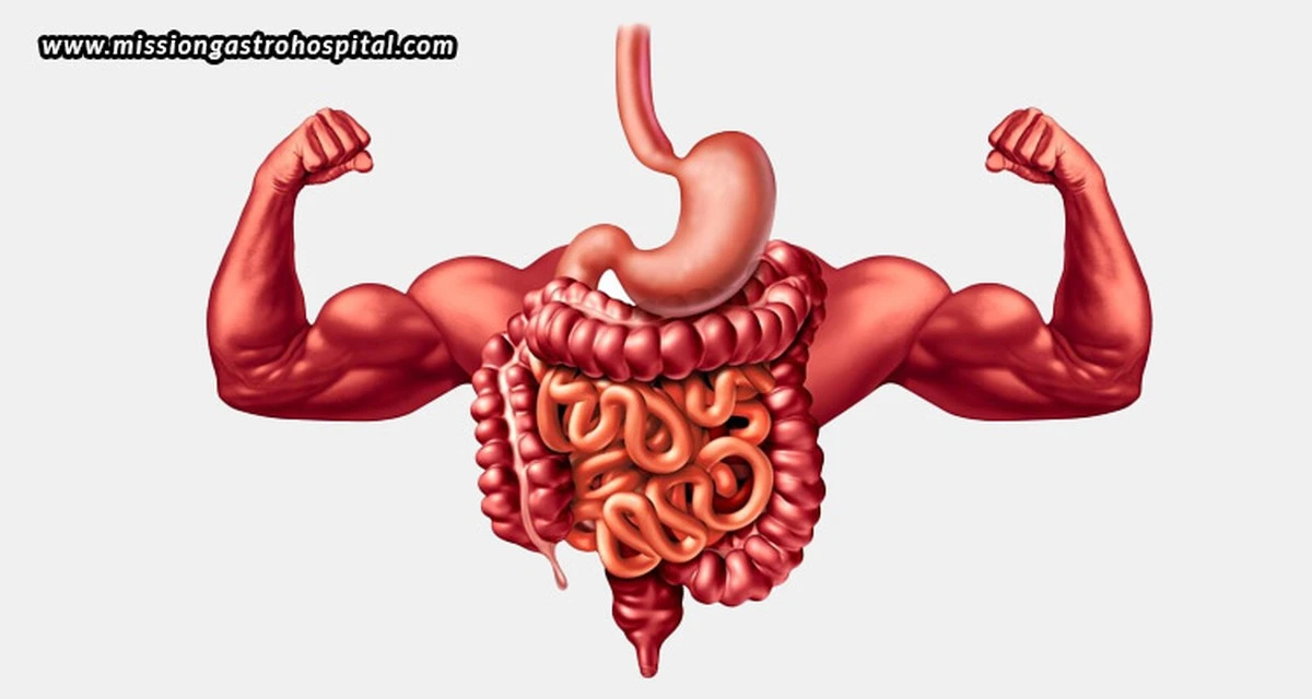 I messaggeri dell'intestino: cosa aroma, suono e frequenza dei gas rivelano sulla tua digestione - image 1