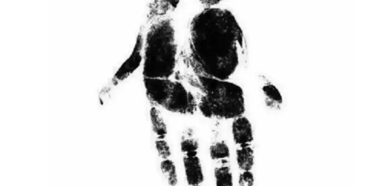 La prima cosa che vedi in questa immagine rivela il tuo modo di vivere la vita