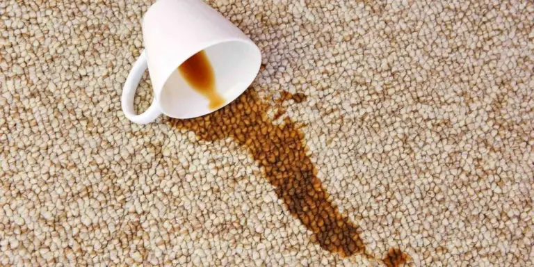 Macchie di Caffè sul Tappeto: 3 Rimedi Casalinghi Efficaci per Eliminarle