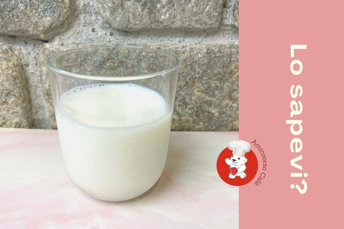 Non buttare il latte nel lavandino: ecco cosa fare (e perché è un grave errore) - image 1