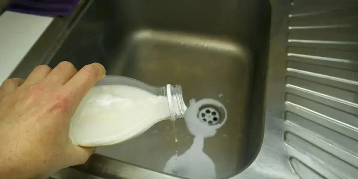 Non buttare il latte nel lavandino: ecco cosa fare (e perché è un grave errore)