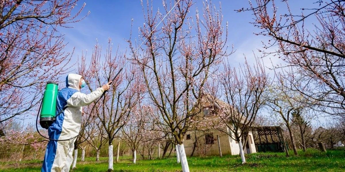 Primi gesti per il tuo frutteto: proteggi alberi da malattie e parassiti prima che sia troppo tardi