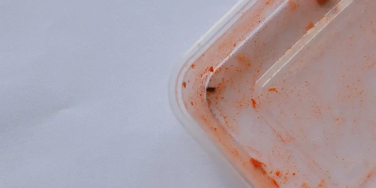 Sapore di Pomodoro Persistente? La soluzione in 3 mosse per i contenitori in plastica
