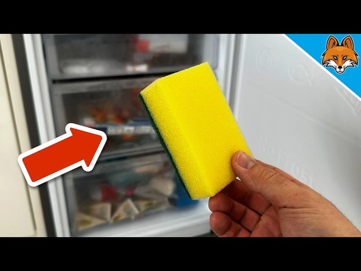 Sponge in the freezer: the simple trick that solves a common annoyance - image 1