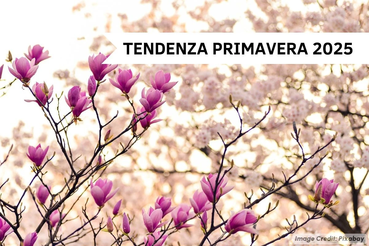 Tempo primaverile: ecco cosa aspettarsi e come prepararsi (senza sorprese) - image 1