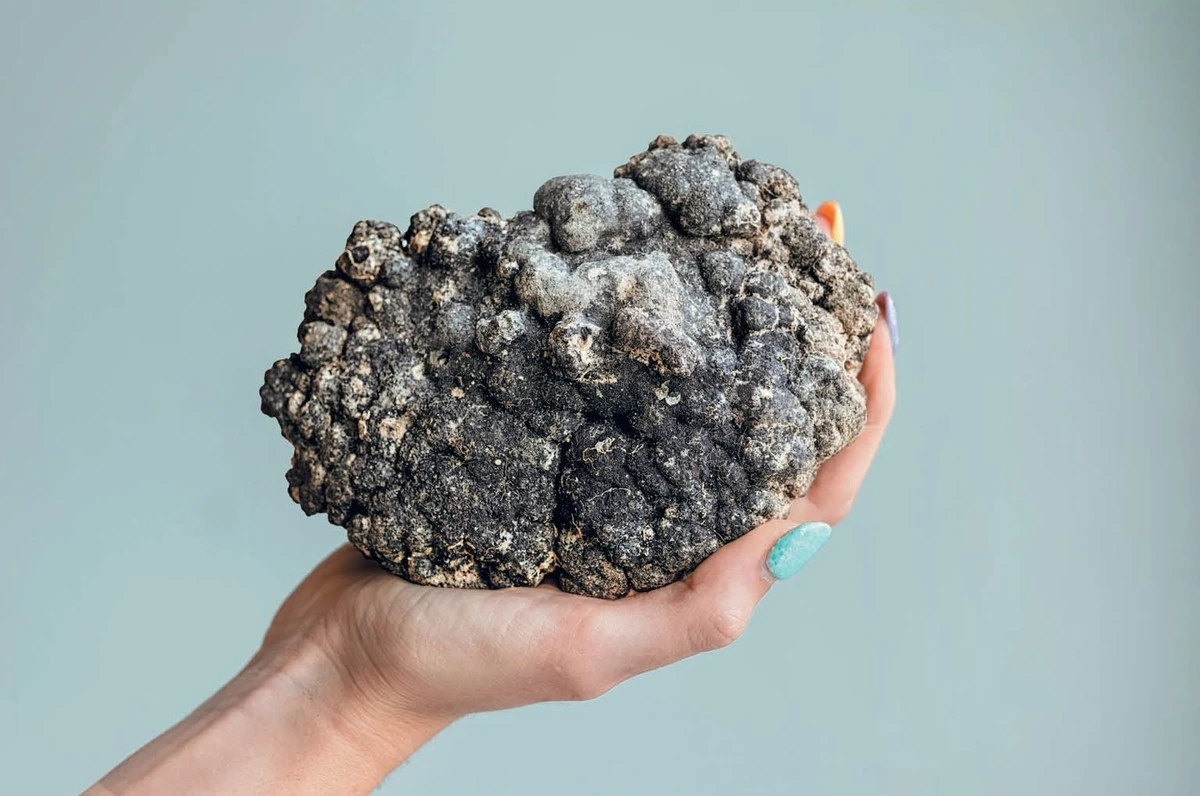 Tesoro Nascosto a 6.000 Metri: Il Giappone Scopre Minerali Rari che Potrebbero Cambiare il Mondo - image 1