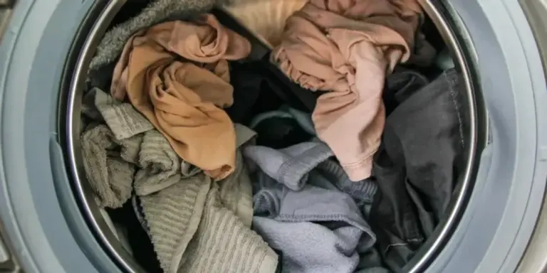 Se hai dimenticato i panni bagnati in lavatrice, ecco come capire se devi rilavarli